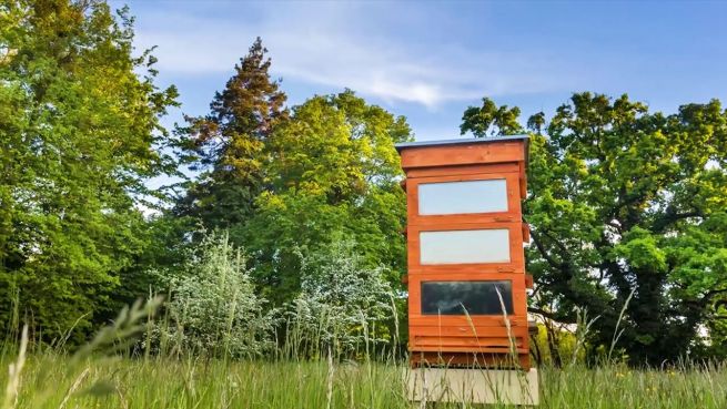 go to Moderne Solartechnik zur Rettung der Bienen