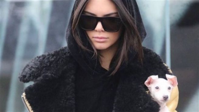go to Kendall Jenner kauft Luxus-Anwesen von Charlie Sheen