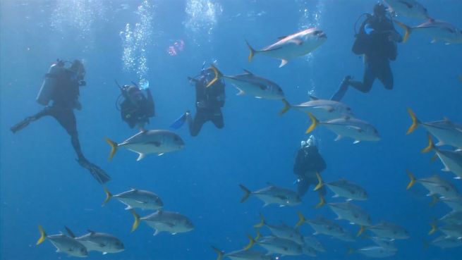go to Die Folgen der Überfischung der Weltmeere
