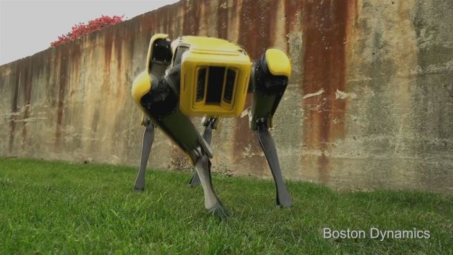 go to Hartes Fell: Tech-Firma präsentiert neuen Robohund