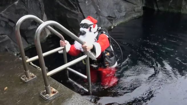 go to Weihnachten unter Wasser: Santa auf Aalfütterung